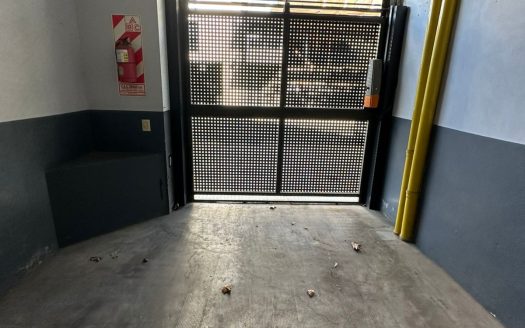 Ramon L. Falcon 5595